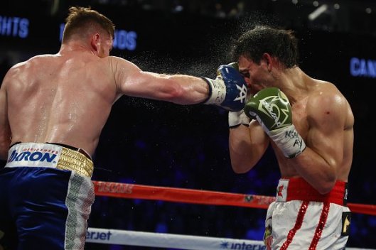 canelo-chavez-fight (7)