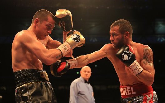 quigg-simion-fight (4)