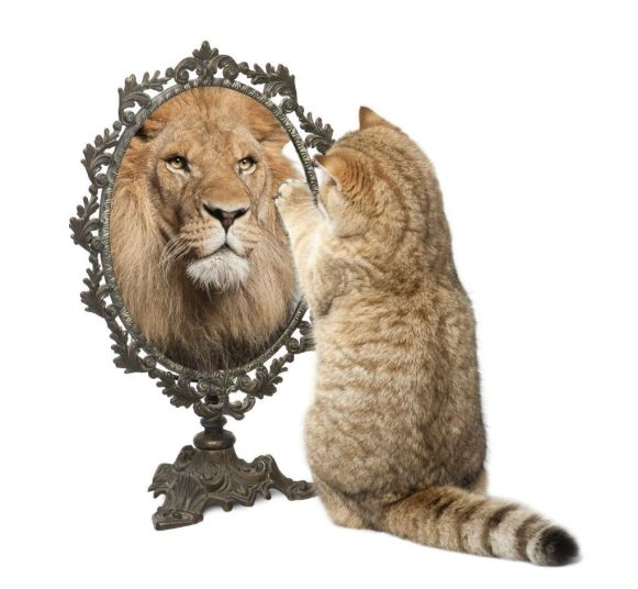 lion-mirror