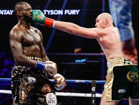 wilder-fury-fight (10)