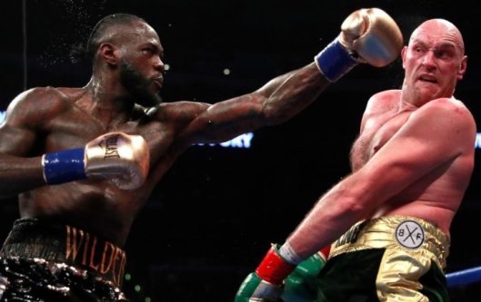 wilder-fury-fight (8)