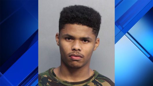 boxer_1554337789639_21671576_ver1.0_1280_720