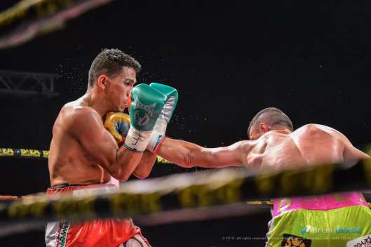 65275200_654254635040500_3346847115014832128_n